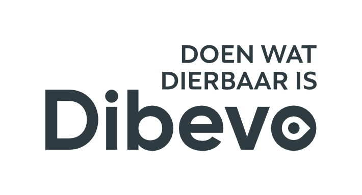 Dibevo logo
